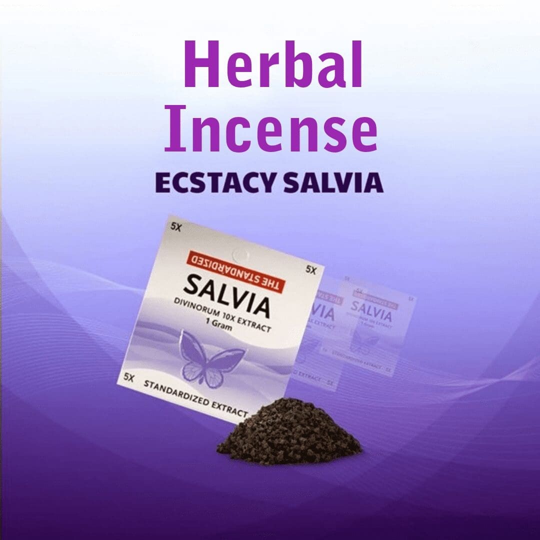Ecstacy Salvia Divinorum Extract