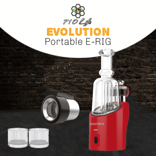 710 Life Evolution Portable E RIG