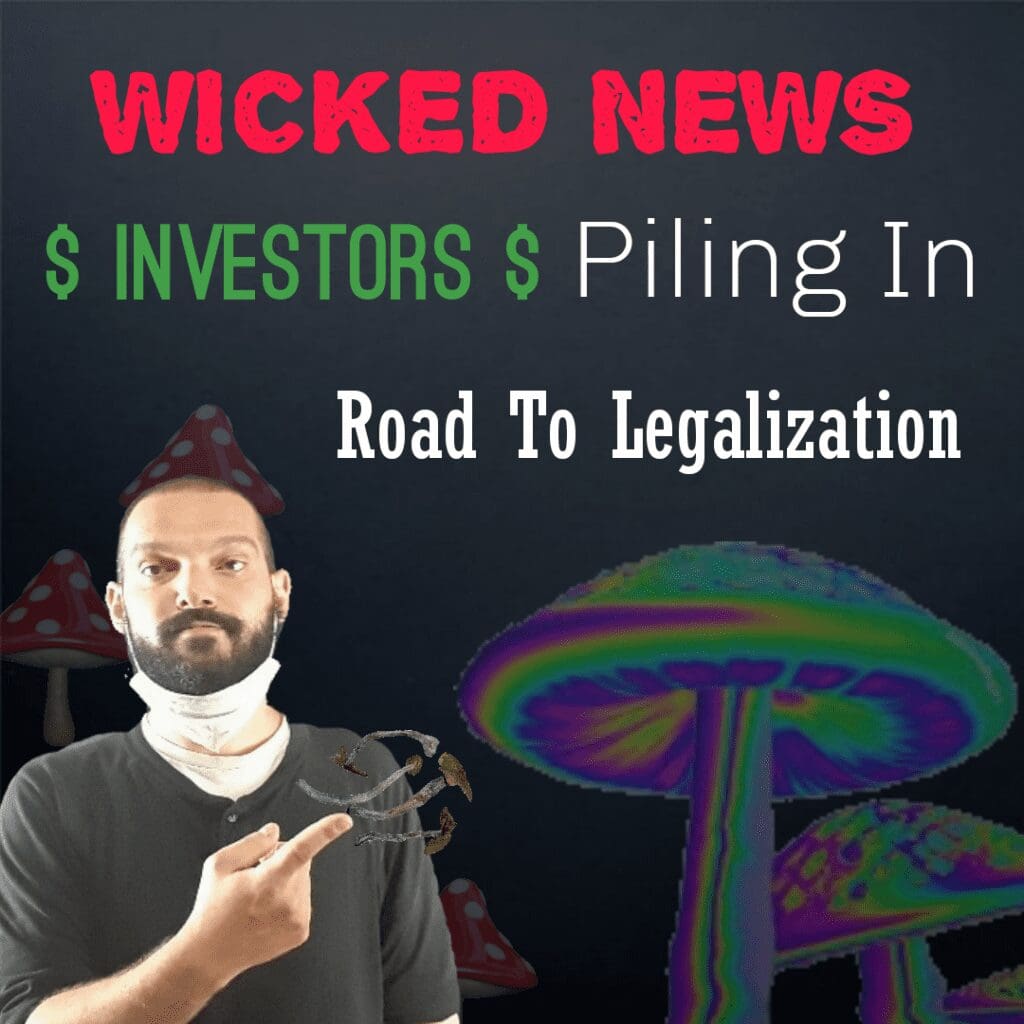 Magic Mushrooms Road To Legalization