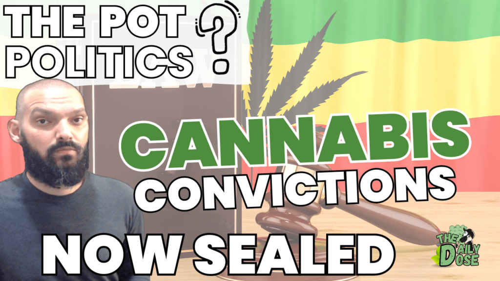 Cannabis Convictions To Be Sealed And Expunged Biden Clamancy