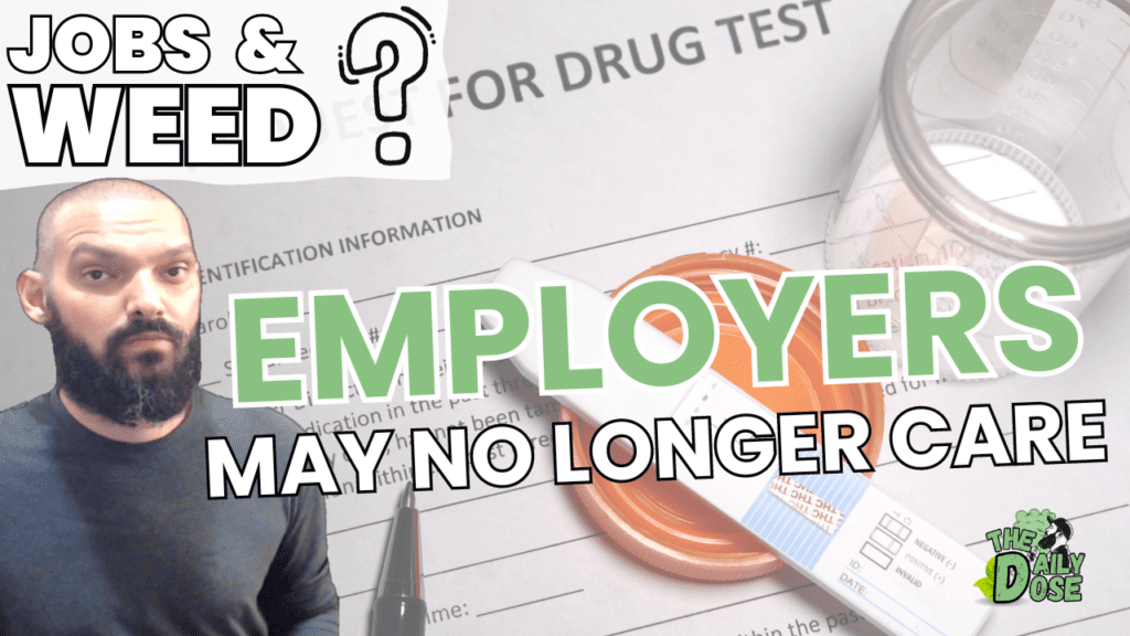 Employers And Cannabis Use What To Know Now
