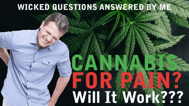 Cannabis For Pain Does It Work e1655872947285