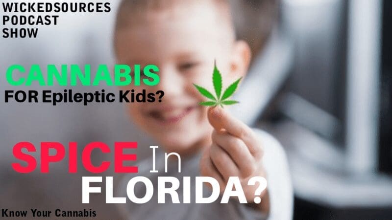 Cannabis Works For Epilepsy And Spice In Florida e1655872812670