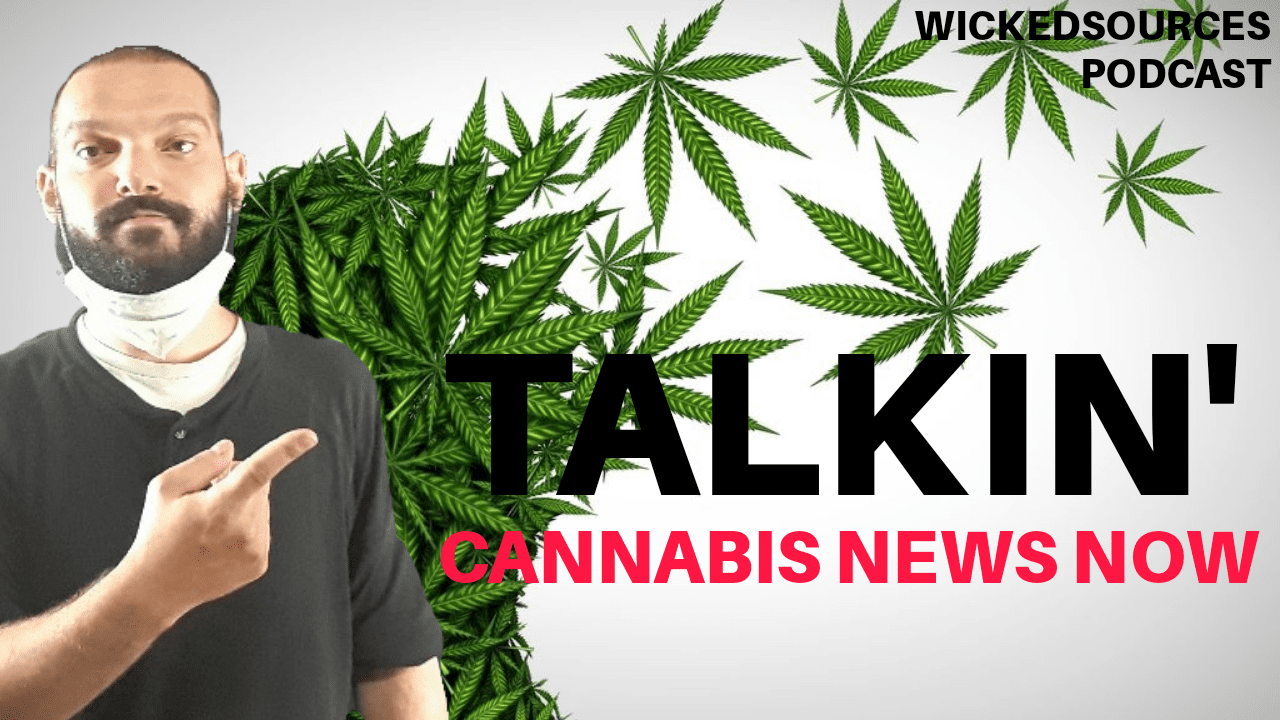 Cannabis News Now