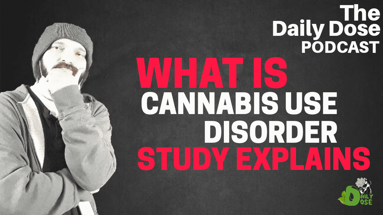 What Is Cannabis Use Disorder1