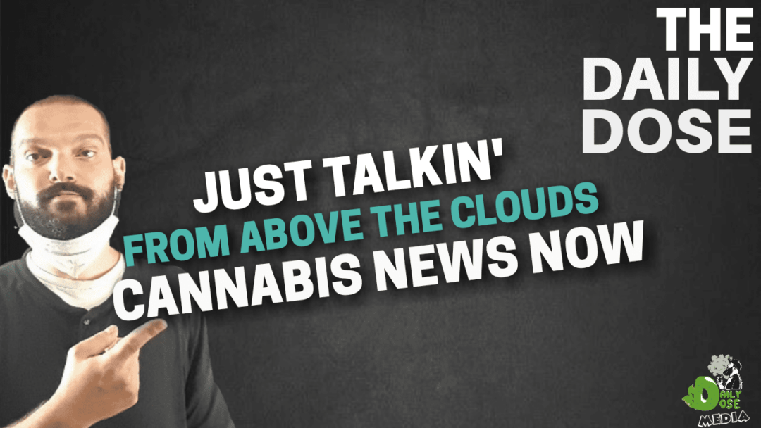 Cannabis News Now May 30th 2022
