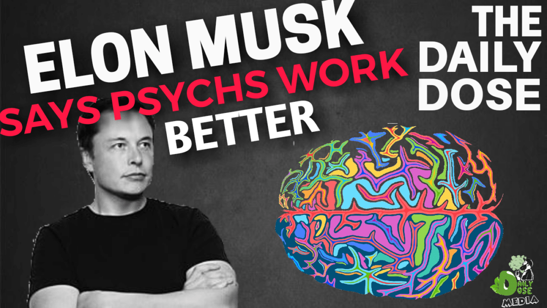 Elon Tweets Psychs Work Better The Daily Dose