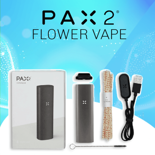 Pax 2 Cannabis Vape