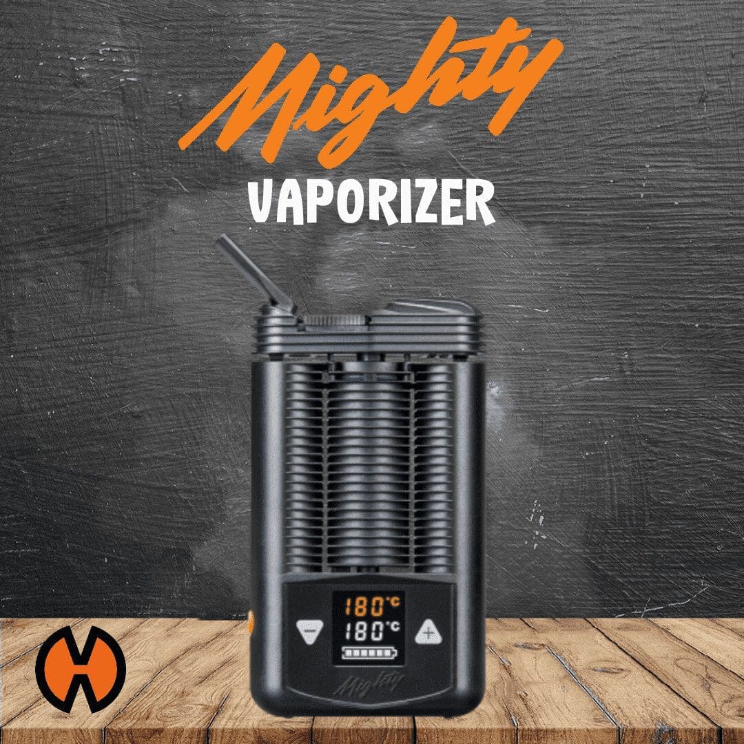 Storz and Bickel Mighty Vaporizer