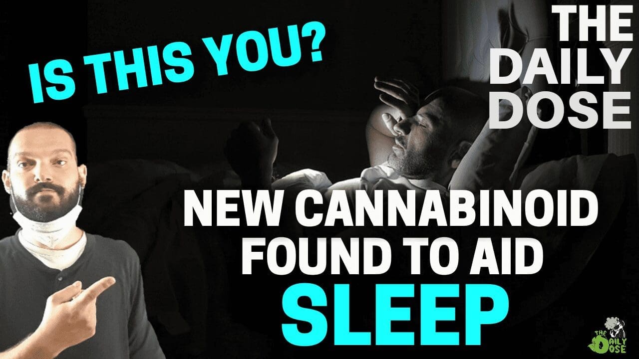 What Is CBN Cannabinoid