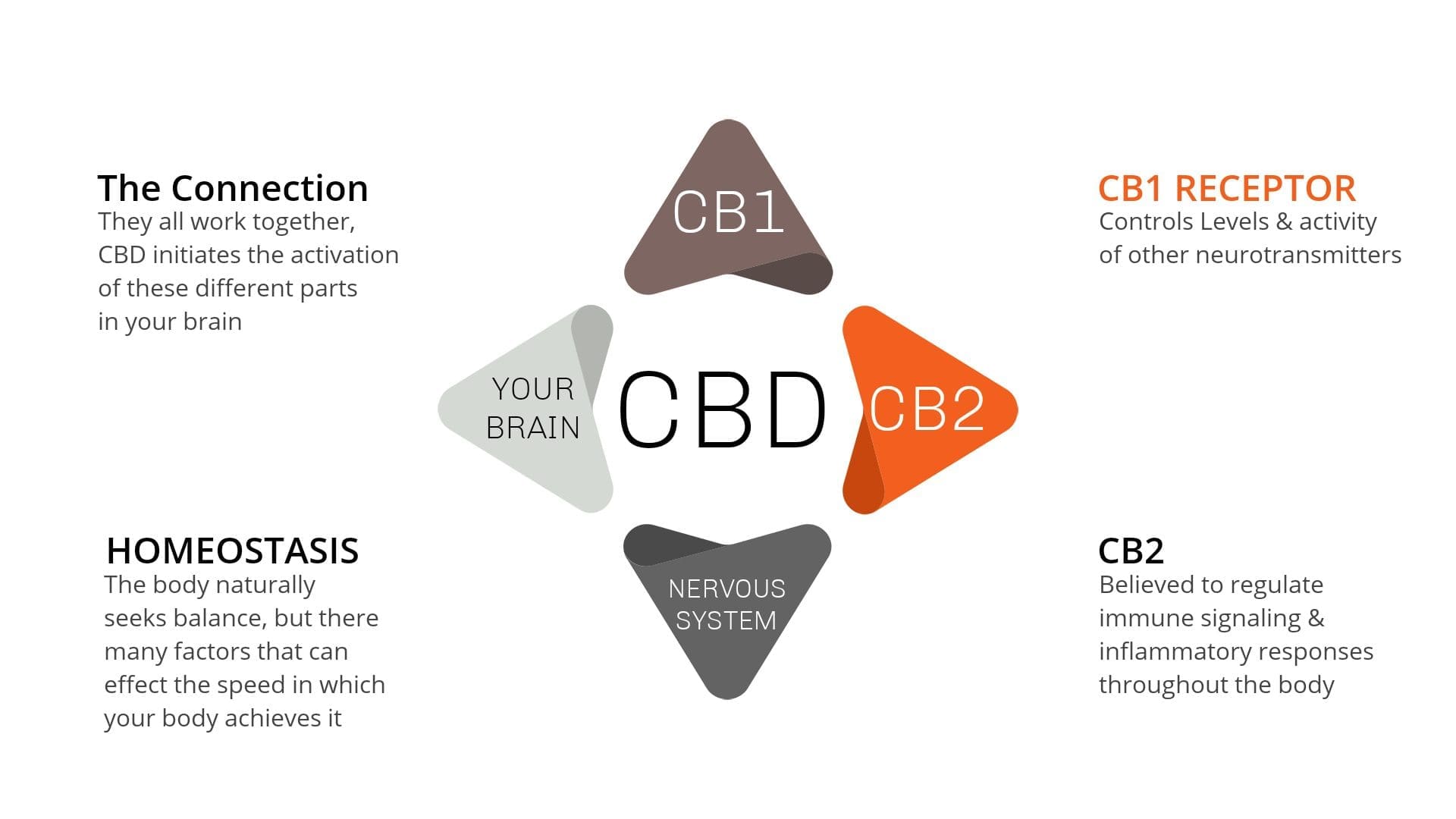 CBD For Anxiety