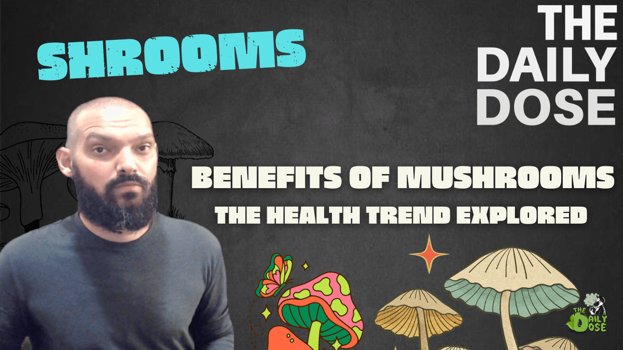 Benefits Of Mushrooms On Health