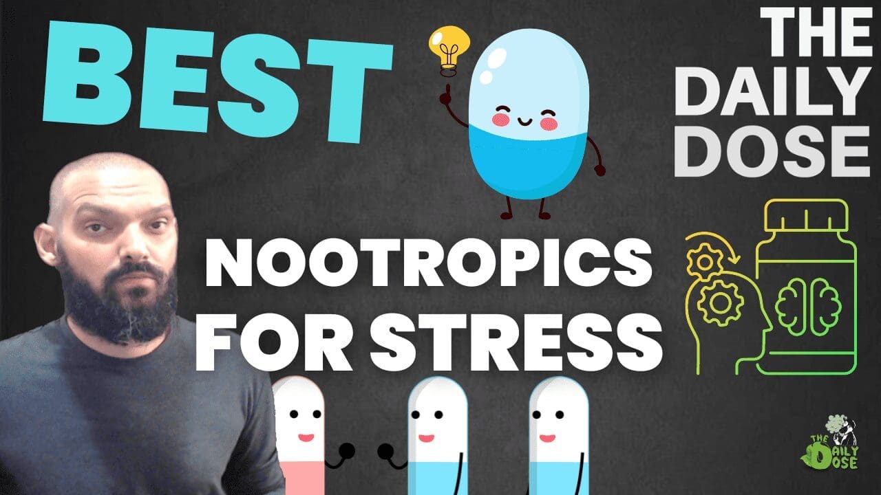 Best Nootropics For Stress