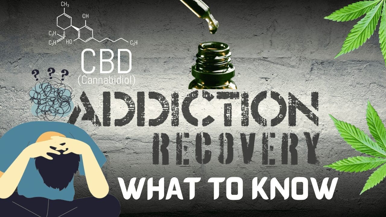 CBD For Addiction Treatment What To Know