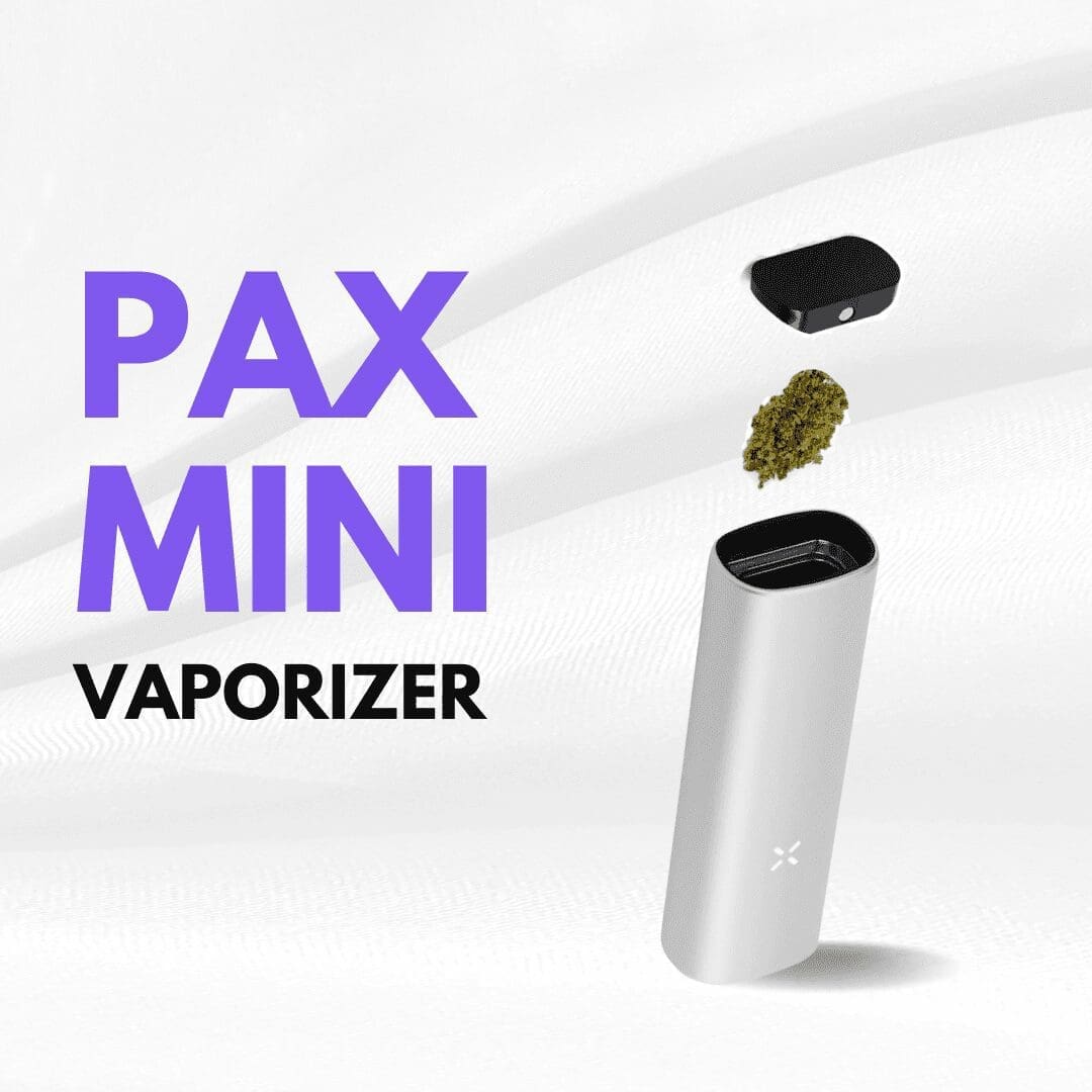 Pax Mini Vape