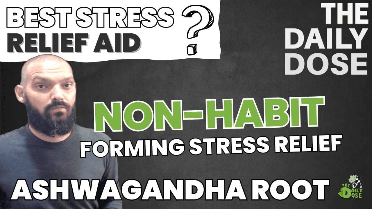 Ashwagandha Benefits And Uses Best Stress Aid Supplement