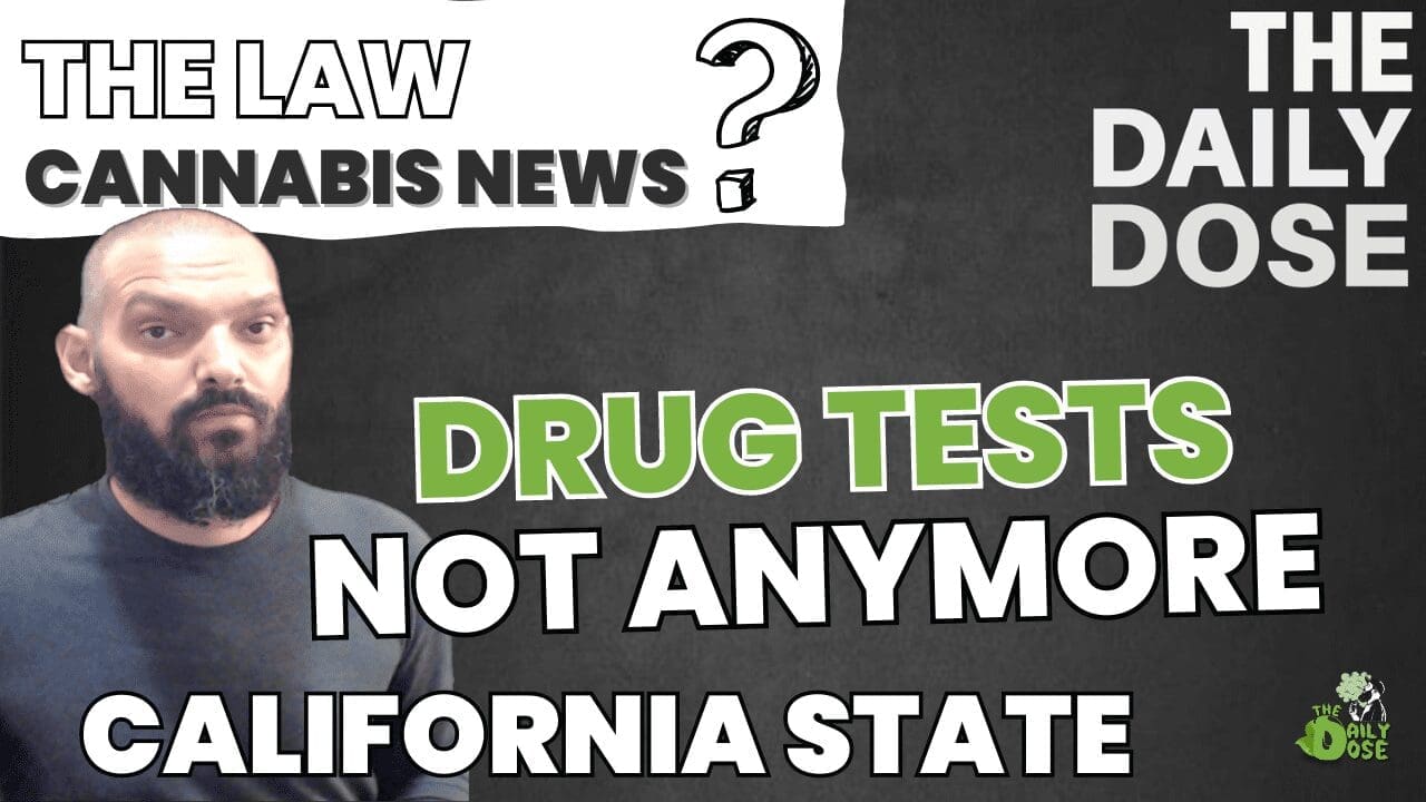 Drug Testing Laws Change Cannabis News Now