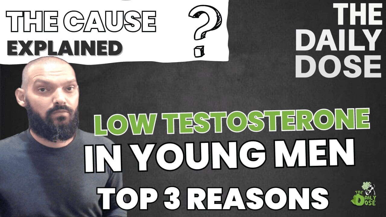 Why Your Testosterone Is Low Young Males