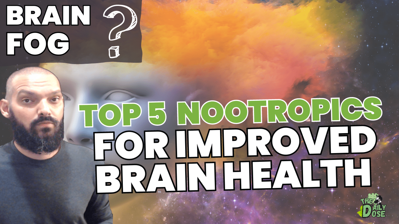Brain Health Supplements Top 5