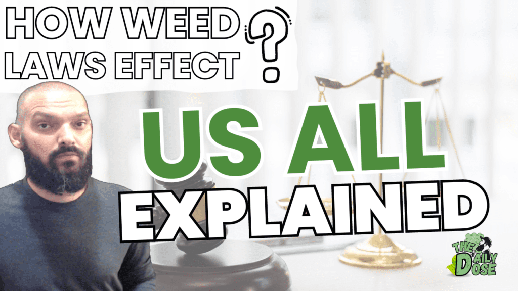 Cannabis Laws How They Effect Us All As Legalization Is On The Horizen