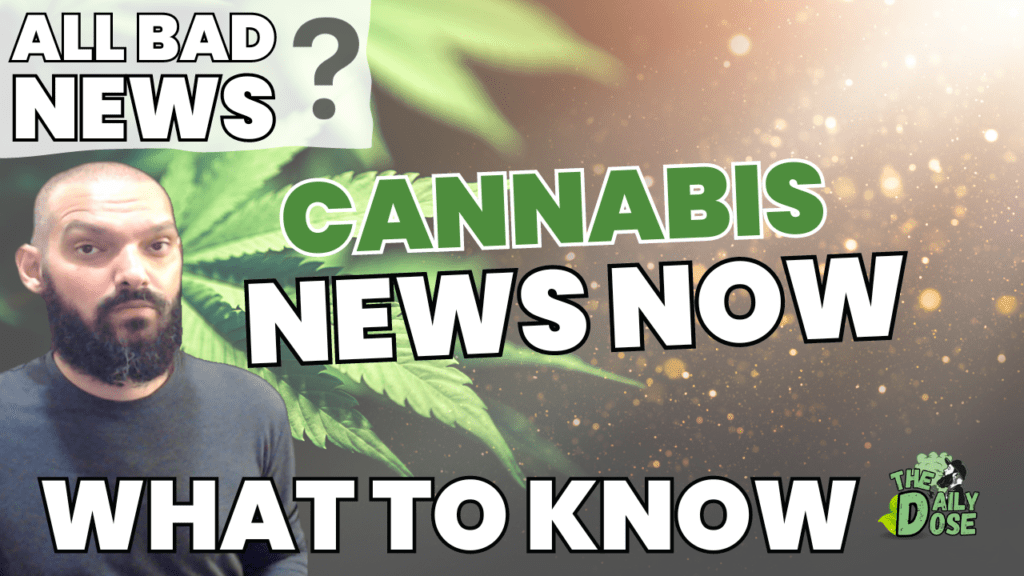 Cannabis News Now Today Explained