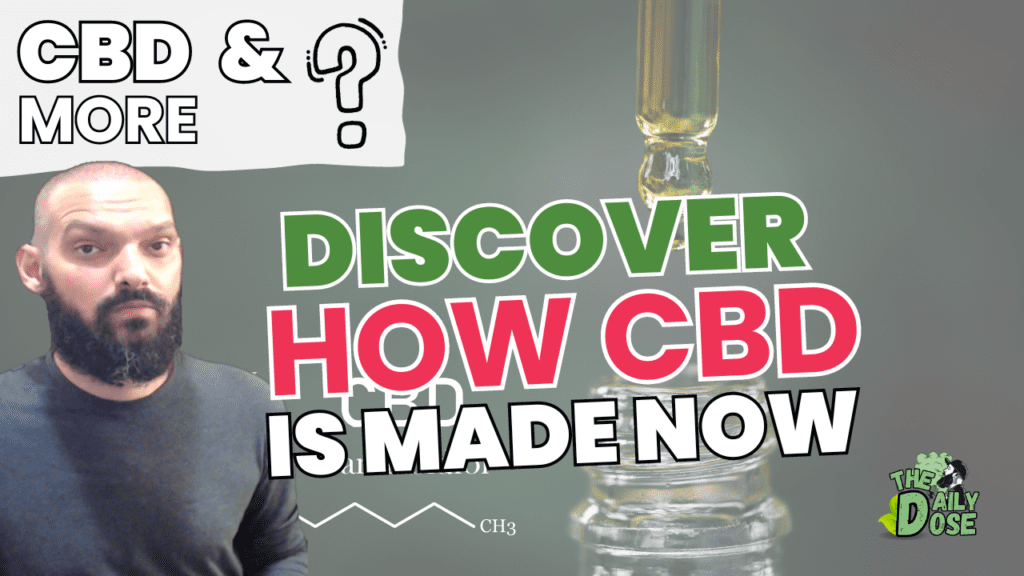 How CBD Is Made What To Know