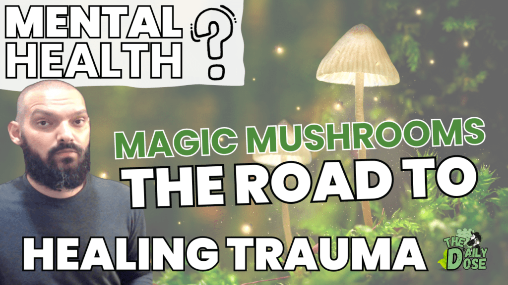 Magic Mushrooms For Mental Health And Healing Trauma