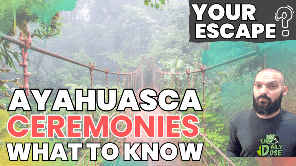 What To Expect When Going On Ayahuasca Retreats