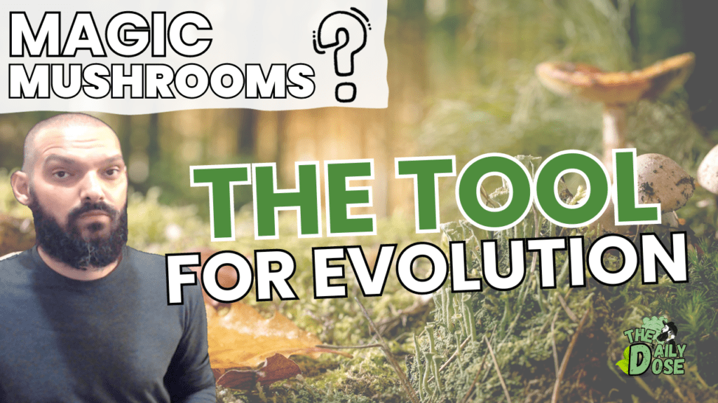 Shrooms The Tool To Human Evolution