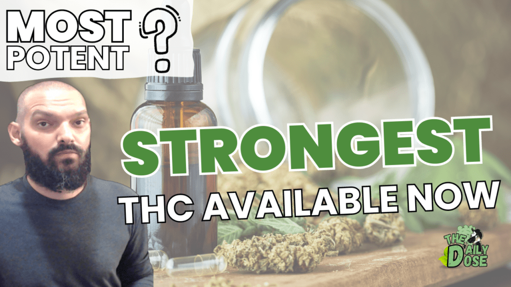 Strongest Cannabis Out Now
