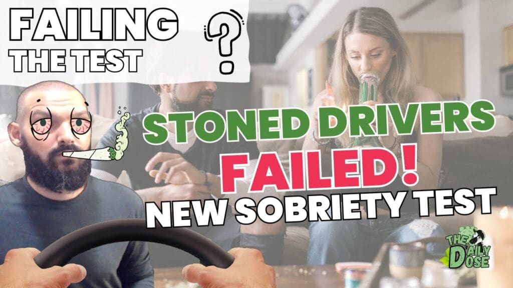 study shows stoned drivers unabl