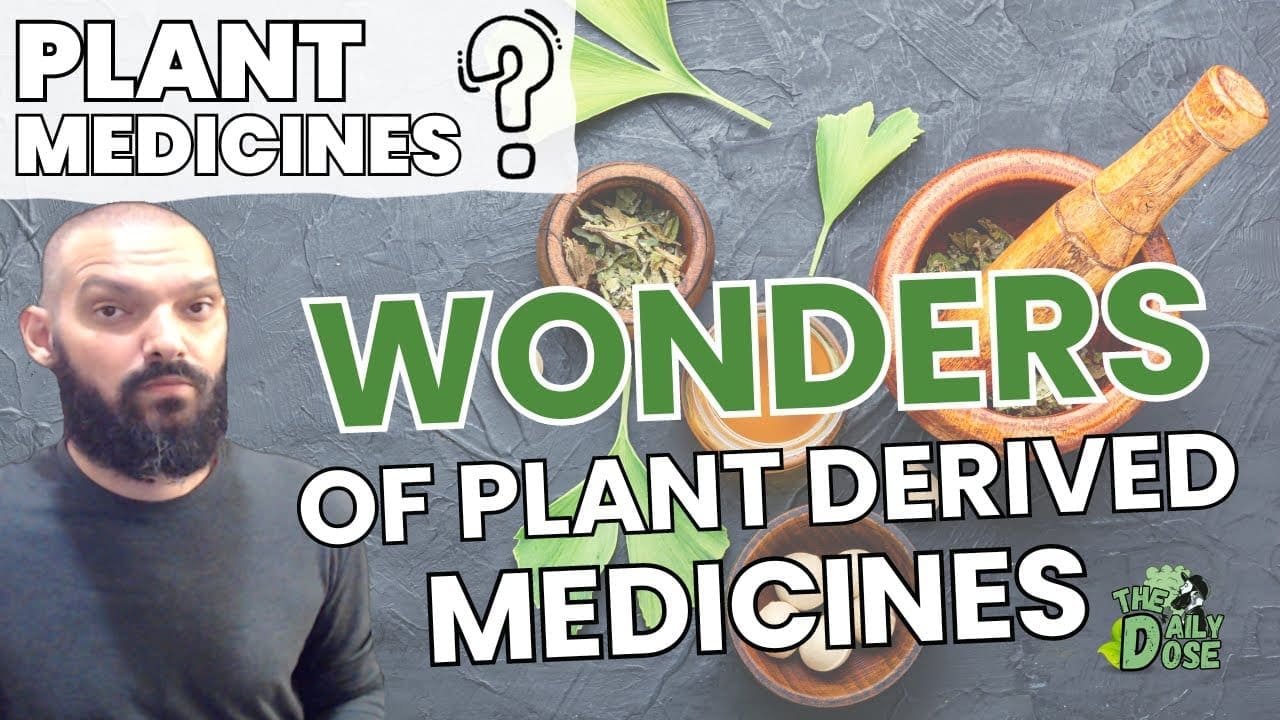 the many wonders of plant medici