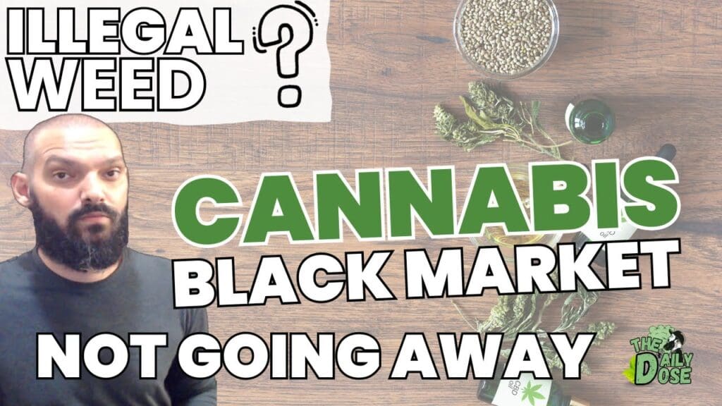 why the illegal cannabis market