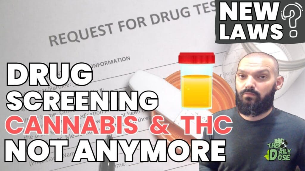 drug testing laws change cannabi
