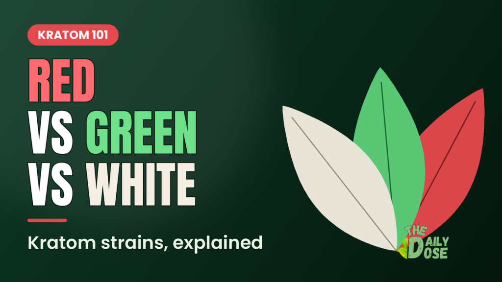 Kratom strains explained: red vs green vs white - The Daily Dose guide